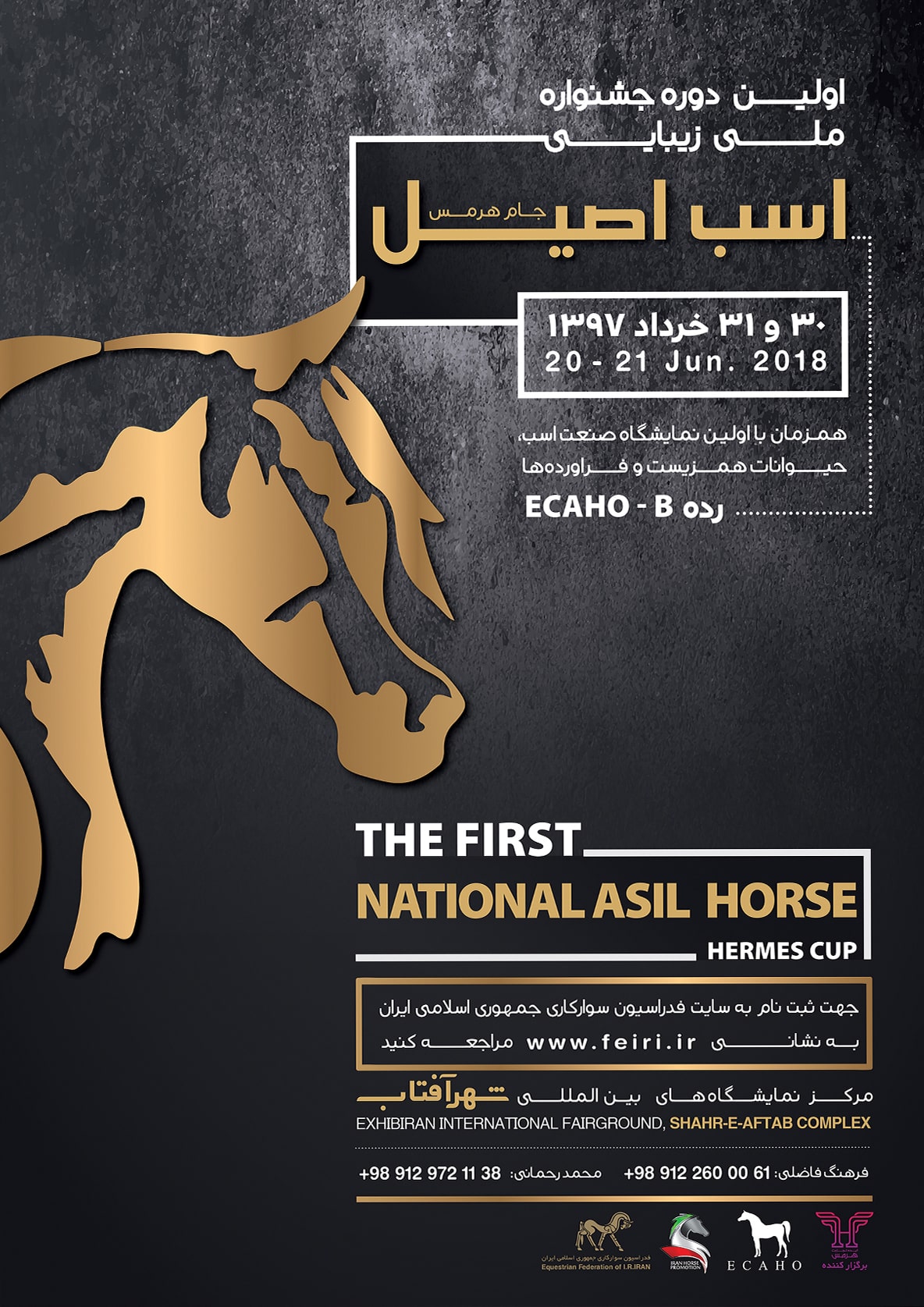 پسوتر جشنواره ملی زیبایی اسب اصیل