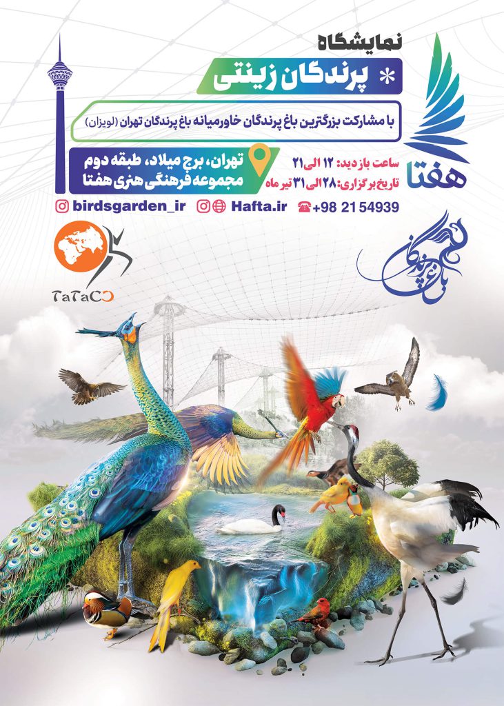 طراحی پوستر نمایشگاه پرندگان زینتی