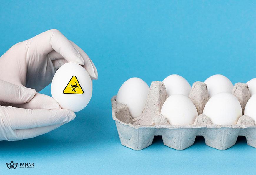 نکات بهداشتی در طراحی بسته بندی تخم مرغ