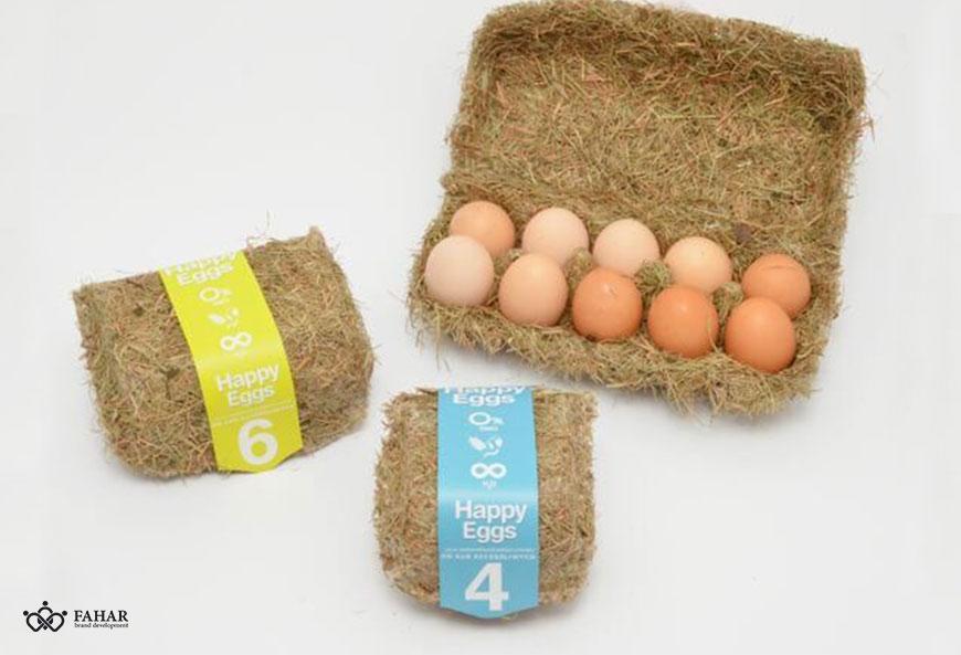 اهمیت طراحی بسته بندی تخم مرغ از نظر حفظ سلامت محصول